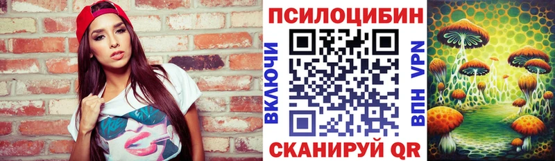дарк нет какой сайт  продажа наркотиков  Анадырь  Псилоцибиновые грибы Cubensis 