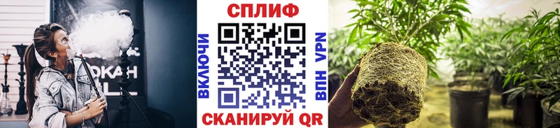 Бошки марихуана VHQ  дарнет шоп  Анадырь 